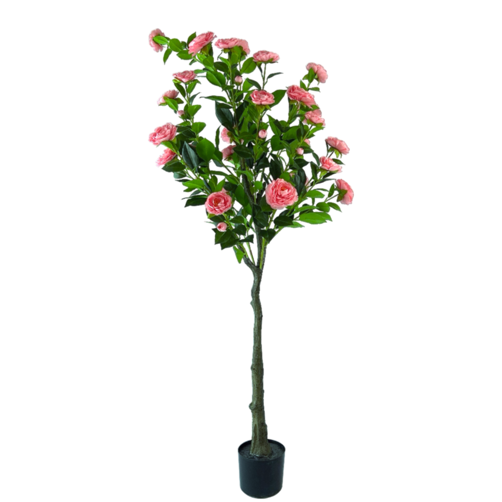 NeverLeafs Kunstplant Camelia Luxe - 160 cm